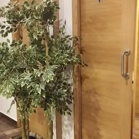 بيت شباب Ultreia Arzúa