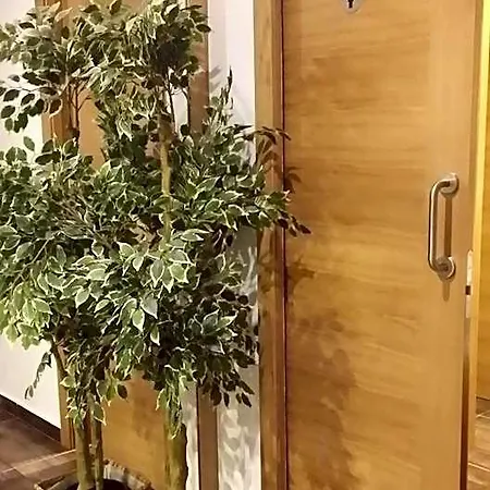 بيت شباب Ultreia Arzúa